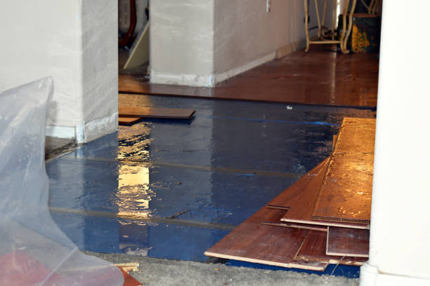 Professional Basement Flood Cleanup technician working in Vincent, OH